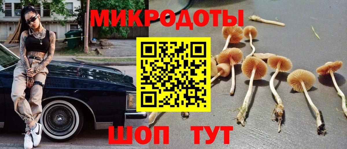 Галлюциногенные грибы Cubensis Вичуга