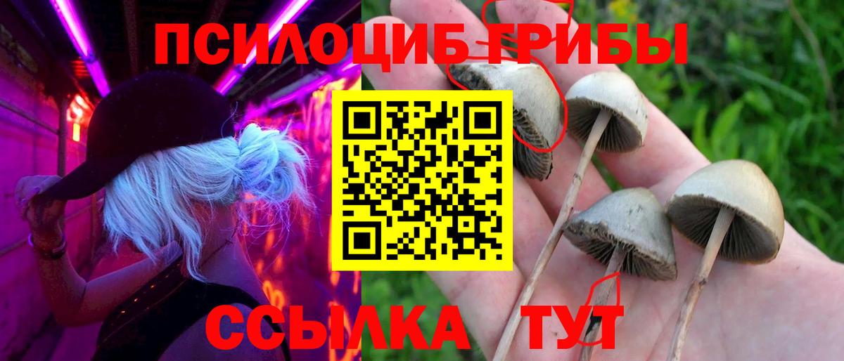 Галлюциногенные грибы прущие грибы  Псилоцибиновые грибы прущие грибы  купить наркоту  Вход с VPN  Вичуга 